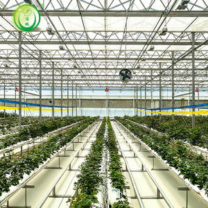 Système de culture en PVC Jiapei pour tomates, concombres et poivrons - Product Image 4