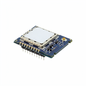 Módulos y Módems Transceptores de RF Originales RM024-P10-C-30 - Product Image 1