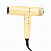 Sèche-cheveux ionique professionnel avec moteur BLDC 1650-1850W, pour salon et usage domestique, construction en plastique, hôtel, camping-car, diffuseur de chaleur