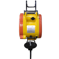 Nouveau mini-treuil électrique, capacité 160 kg, 110V-240V, câble métallique, télécommande, protection IP65, longueur 30 m, 1,3 kW, hôtels
