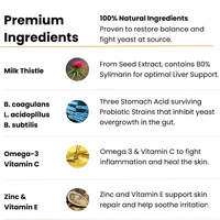 Probiotiques Immunitaires pour Chiens : Soutien des Allergies Saisonnières, Santé Digestive Intestinale, Absorption Rapide, Formule à Ingrédients Limités - Porc
