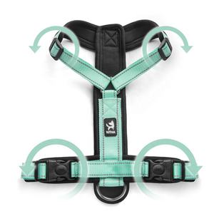 Arnés Reflectante para Perro, Transpirable, de Nailon, Collar de Pecho para Mascotas, Arnés de Doble Correa, Arnés con Correa para Perros - Product Image 5