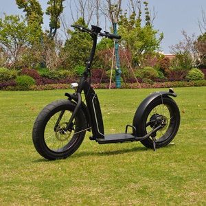 <span class=keywords><strong>Trottinette</strong></span> Électrique Grande Roue <span class=keywords><strong>Adulte</strong></span> 20 Pouces, E-Scooter Tout-Terrain Fabriquée en Chine - Product Image 2