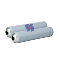 Spray insecticide d'usine, diamètre 65*300mm, boîte de revêtement, boîte aérosol, boîte en étain, boîte à oxygène
