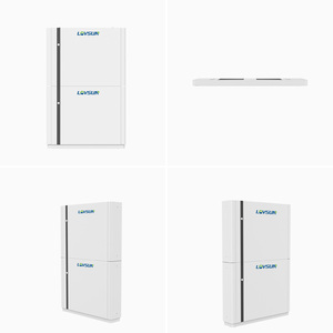 Batterie lithium-ion basse tension pour la maison 5-20KW 51.2V Haute performance IP65 Légère et facile à installer Batterie LFP - Product Image 5