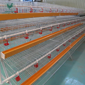Cage De Poulet Zambia Nuevo equipo de granja avícola Capa de huevo tipo A Jaula de capa de granja de pollo <span class=keywords><strong>para</strong></span> gallinero ponedor de cabeza 10000 - Product Image 4