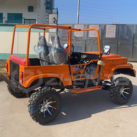 Mini Jeep tout-terrain double cabine, nouvelle et populaire, moteur à essence de taille adulte, abordable et très vendue, style distinctif