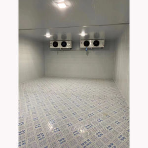 Armoires de stockage frigorifique de plain-pied personnalisées Fresh-Keeper congélateur viande nourriture fruits légumes restaurant utilisation médicale panneaux personnalisés - Product Image 4