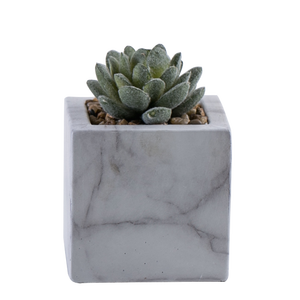 Mini Casa de plástico decoración suculentas Bonsai Artificial planta <span class=keywords><strong>en</strong></span> mármol de cemento Pot - Product Image 1