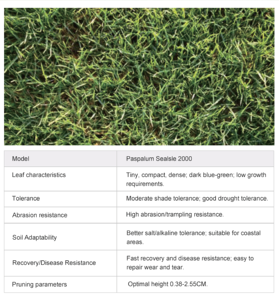 <span class=keywords><strong>Erba</strong></span> Sintetica Naturale Ecologica ad Alta Densità, Durevole, Morbida e a Rapida Germinazione per Campi Sportivi Indoor/Esterni - Product Image 5