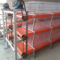 Nouvelle conception d'élevage de poulets pour système d'élevage entièrement automatique de poulets de chair avec cage de couvaison en métal/plastique