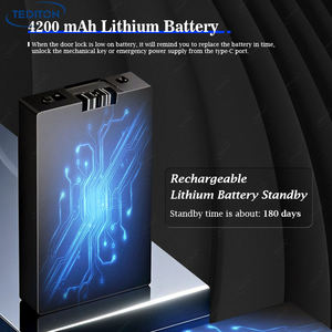 TEDITON App Wifi yüz tanıma biyometrik parmak izi kapı kilit akıllı otomatik dijital Tuya akıllı kilitler - Product Image 6