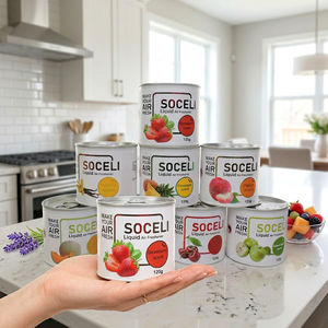 สเปรย์ปรับอากาศในรถยนต์ SOCELI รุ่นใหม่ ขนาด 120 กรัม กลิ่นหอมหรูหรา ราคาขายส่งจากโรงงาน - Product Image 1