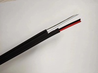 G657A FTTH GYXFTY 2-Core Outdoor Optic Fiber Cable Drop Cable with Steel and Power Wire Zhejiang Origin for Communication