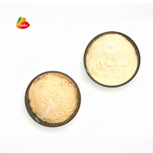 Poudre concentrée pour sauce à l'<span class=keywords><strong>ail</strong></span> Fournisseur de poudre d'<span class=keywords><strong>ail</strong></span> Poudre d'<span class=keywords><strong>ail</strong></span> en Chine - Product Image 4