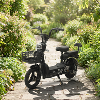 Trottinette électrique 350W 48V 12A avec freins à tambour avant et arrière, écran LCD, pour les loisirs