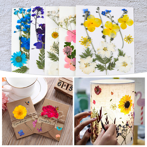 DM493-rellenos natrales de flores secas prensadas, hojas de plantas, espécimen, pegatina de mariposa, arte de resina artesanal para Decoración - Product Image 2