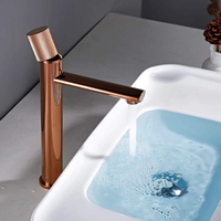 Robinet mitigeur d'eau chaude et froide à poignée unique en acier inoxydable 304, robinet de lavabo à trou unique