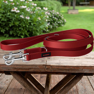 Correa de Perro Táctica Acolchada Personalizada al por Mayor, <span class=keywords><strong>Collar</strong></span> Multifuncional para Mascotas con 2 Clips Prácticos - Product Image 3