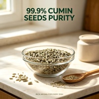 Graines de cumin de qualité supérieure, naturelles, entières, Jeera, pour la cuisine, les épices, l'assaisonnement, la transformation alimentaire et l'exportation
