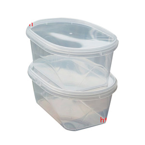 Food Storage <b>Box</b> Rectangle Transparent <b>Plastic</b> Lid General Packaging Fridge Organizer - Product Image 1