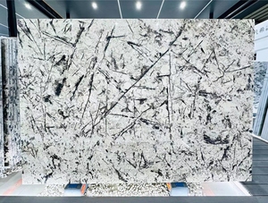 Tianshan <span class=keywords><strong>Twilight</strong></span> Snow <span class=keywords><strong>Granite</strong></span> Polierter Naturstein Große Platte Rückwand für den Innenbereich Moderne Licht übertragung Große Platte - Product Image 5