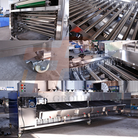 Volledig automatische rollen sorteermachine voor aardappelen, wortelen, uien, appels en andere groenten en fruit.