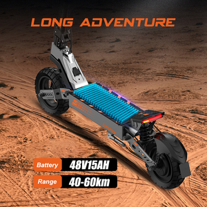 EU Warehouse Stocks Long Range Powerful Motor 10inch Scooter Aluminum Adult Scooter - Product Image 6