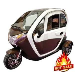 2023 प्रसिद्ध ब्रांड लोकप्रिय कार्गो बिजली Tricycle खेत लोड हो रहा है उपयोग 3 पहिया कार