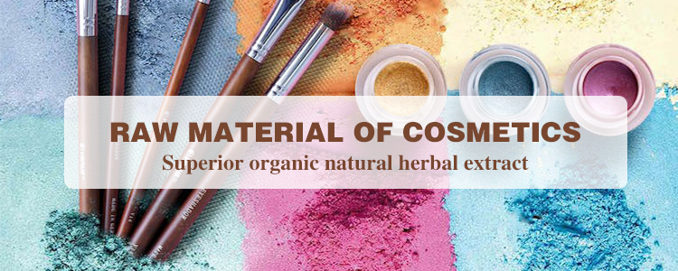 CAS 84380-01-8 Whitening Pure Plant Extract 98% Pure Alpha Arbutin Powder 4