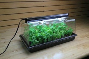 Plastic PE Square Eco-Friendly Lightweight Plant Seedling Germination Starter Tray Super Sprouter <strong>Heated</strong> <strong>Propagation</strong> Trays - Product Image 5