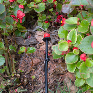Plentirain marca China <span class=keywords><strong>de</strong></span> jardín <span class=keywords><strong>de</strong></span> PVC micro <span class=keywords><strong>riego</strong></span> por goteo manguera <span class=keywords><strong>de</strong></span> jardín <span class=keywords><strong>invernadero</strong></span> irrigación <span class=keywords><strong>sistema</strong></span> - Product Image 4