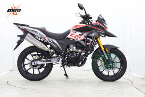 Motocicletas todoterreno Dual-Sport Tourer GSX300, motocicleta cross GMS 190III con motor Zonsen PR300CC/ <span class=keywords><strong>LONCIN</strong></span> FE250CC - Product Image 2
