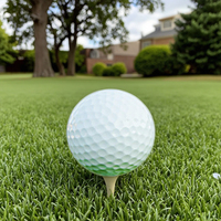 Balle de pratique de golf EVA Foam 20G pour l'entraînement et la pratique du golf avec compatibilité gazon artificiel
