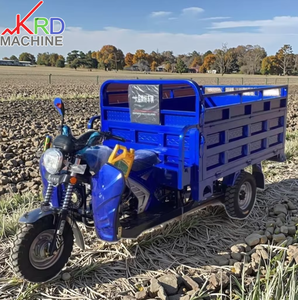 Triciclo <span class=keywords><strong>de</strong></span> Alta Calidad <span class=keywords><strong>de</strong></span> 150cc a Gasolina, Transportador <span class=keywords><strong>de</strong></span> Pasajeros y Carga, Diseñado para Transporte Urbano y Rural - Product Image 4