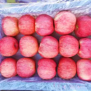 2023 Nueva selección de frutas frescas Red Fuji y Royal Gala Apples Precios DE EXPORTACIÓN COMPETITIVOS en China