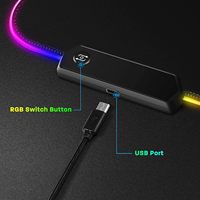 Tapis de souris de jeu RGB personnalisé de grande taille, tapis de bureau Tiger, lumière LED, antidérapant, tapis de souris pour clavier d'ordinateur