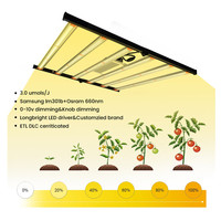 LED de pointe élèvent la lumière pour la production de cultures supérieures 480W lm301B 301H spectre complet Commercial Veg Flower LED élèvent la lumière
