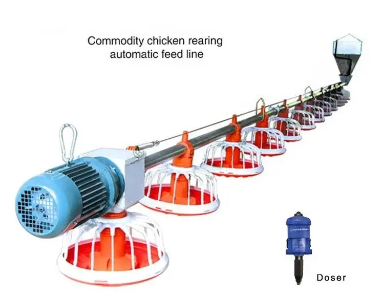 Hayvancılık ekipmanları otomatik kümes hayvanları zinciri besleme hattı sistemi