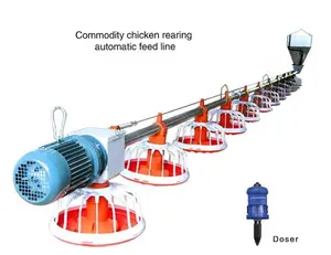 Animal Cages Use Poultry Equipment Automatic Broiler Chicken Feeding Line System