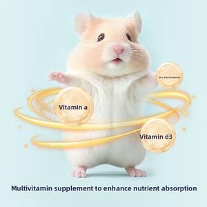 Suplemento Vitamínico Líquido para Hámsteres, Vitamina Electrolítica Nutritiva Líquida para Cobayas, Chinchillas y Cobayas Holandesas - Product Image 4