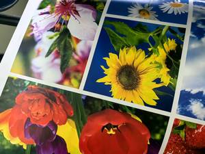 מכונת דפוס אופסט לסירוגין מסוג Cold Foil Roll to Roll עם פלטות PS מדגם HDPS-350 להדפסה על סרט תווית דביק עצמי מסוג BOPP לאריזות - Product Image 5