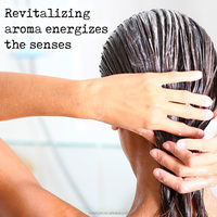 Après-shampoing Revitalisant à l'Huile d'Arbre à Thé et à l'Aloe pour Cheveux Secs et Frisés, Hydratation Profonde et Soulagement du Cuir Chevelu – Marque Blanche