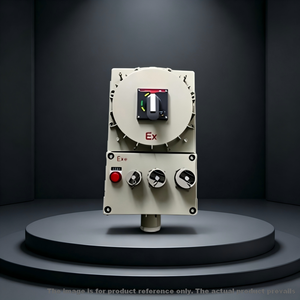 Customized Industrial Explosion Proof Electrical Panel Box with Push Buttons & Indicator Lights - Product Image 3