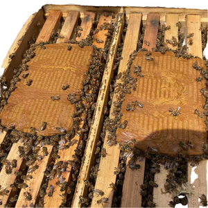 養蜂家のための天然ミツバチ花粉代替物とミツバチ食品動物飼料 - Product Image 5