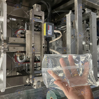 Machine de remplissage et d'emballage automatique de sachets de liquide de bonne performance pour sauce pimentée soja, huile de cuisson, vin, jus d'orange