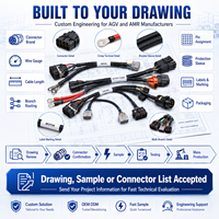 Cable de Carga de Batería AGV de Alta Corriente Personalizado con Conector para Arnés de Cables de Robot Móvil de Almacén AMR