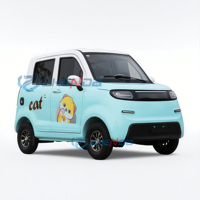 Nouvelle voiture utilitaire électrique miniature 4 places Coco Vehicle avec homologation CEE, conduite à droite, volant à gauche, caméra arrière, prix pour adultes