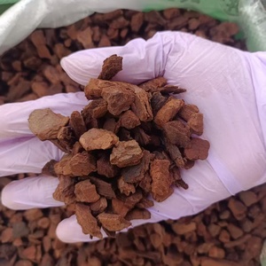 Corteccia di Pino Radiata Premium della Nuova Zelanda, Selezionata, Sterilizzata, Ricca di Nutrienti, Leggermente Acida pH 5.5-6, per la Salute delle Radici - Product Image 3