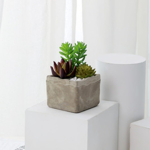 Caliente de <span class=keywords><strong>la</strong></span> venta de productos de interior decorativo artificial plantas suculentas <span class=keywords><strong>en</strong></span> cemento gris flor olla para casa - Product Image 4